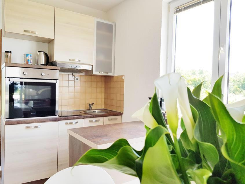 Talija Apartments Krimovica Μπούντβα Εξωτερικό φωτογραφία